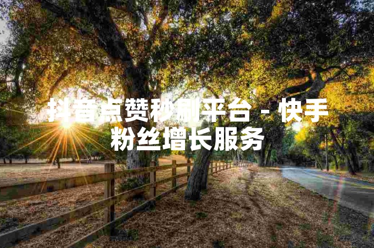 抖音点赞秒刷平台 - 快手粉丝增长服务