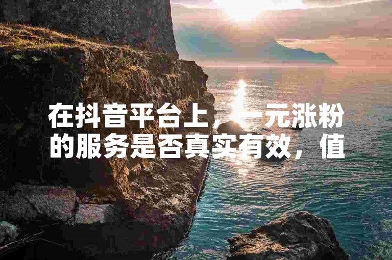 在抖音平台上，一元涨粉的服务是否真实有效，值得我们深入探讨其背后的真相。
