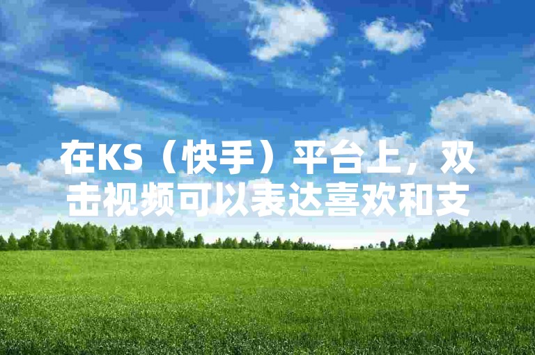 在KS（快手）平台上，双击视频可以表达喜欢和支持，类似于抖音中的点赞功能，但具体作用和影响可能因平台而异。