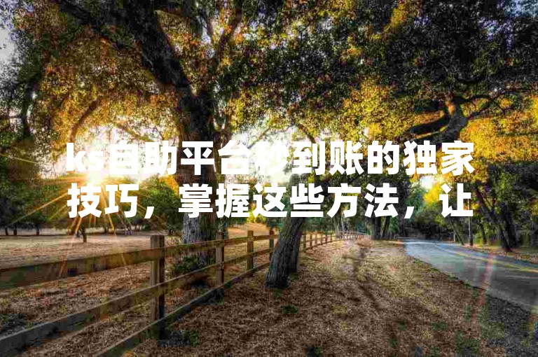 ks自助平台秒到账的独家技巧，掌握这些方法，让你的资金瞬间到达！2024必备技能。