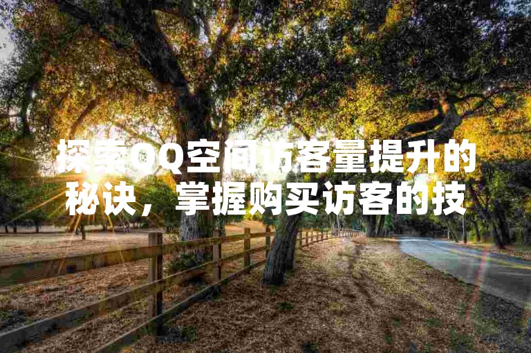 探索QQ空间访客量提升的秘诀，掌握购买访客的技巧与策略。