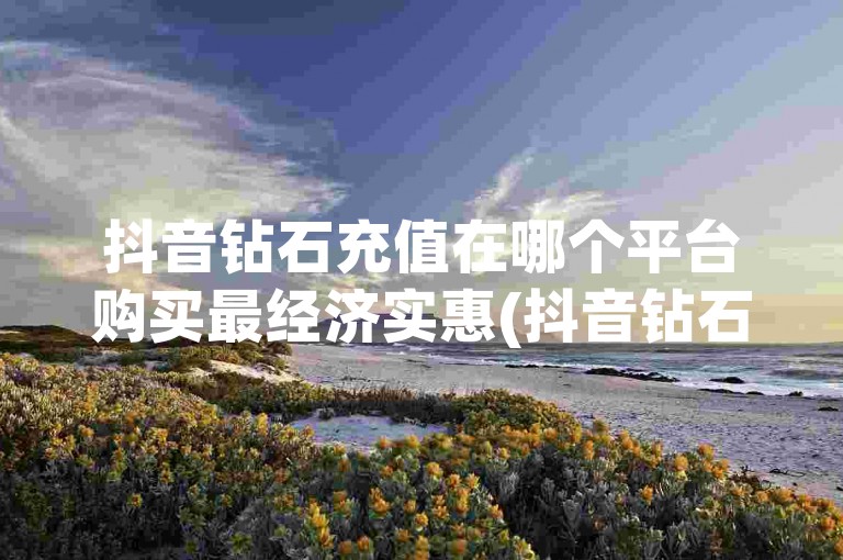 抖音钻石充值在哪个平台购买最经济实惠(抖音钻石充值的最优价格选择)。