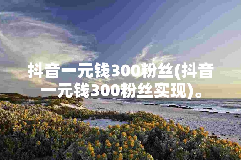 抖音一元钱300粉丝(抖音一元钱300粉丝实现)。