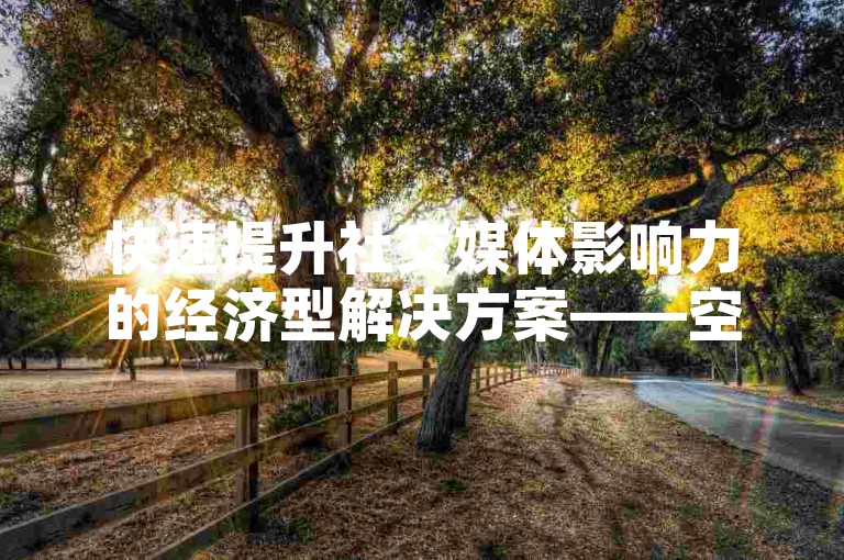 快速提升社交媒体影响力的经济型解决方案——空间说说赞秒刷服务，现以超低价格提供会员自助下单。