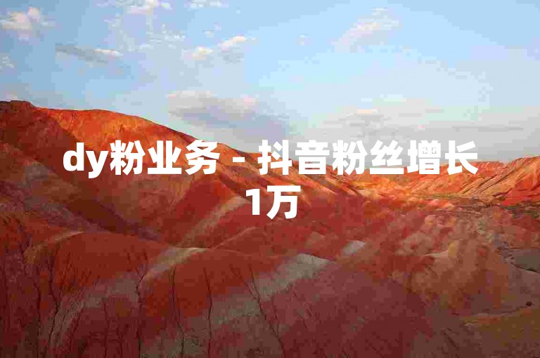 dy粉业务 - 抖音粉丝增长1万