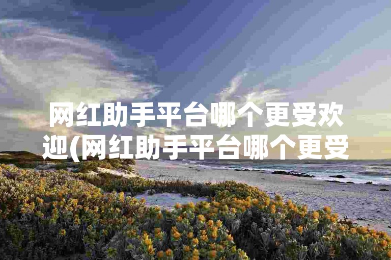 网红助手平台哪个更受欢迎(网红助手平台哪个更受欢迎一些)