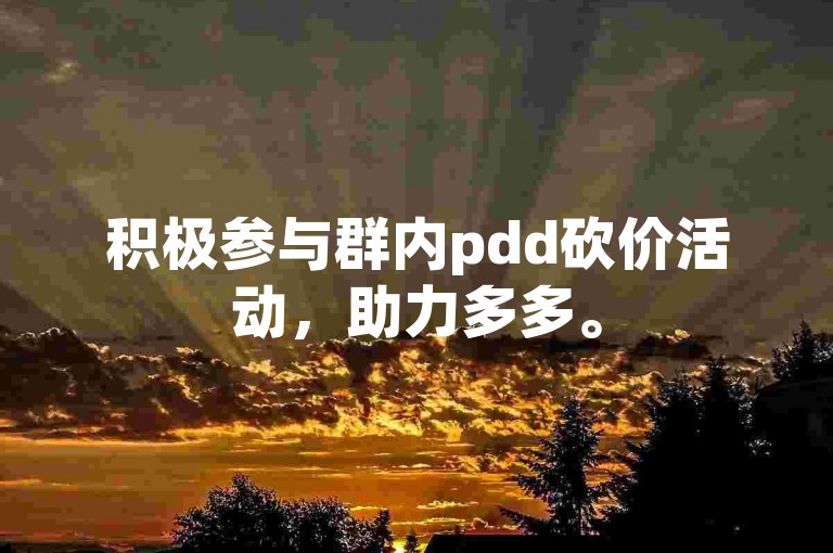 积极参与群内pdd砍价活动，助力多多。