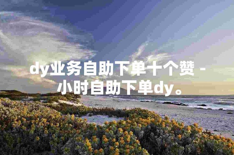 dy业务自助下单十个赞 - 小时自助下单dy。
