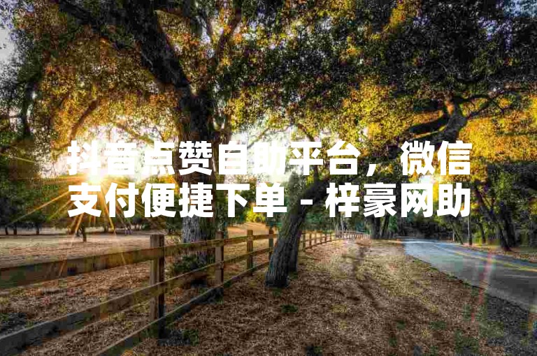 抖音点赞自助平台，微信支付便捷下单 - 梓豪网助力短视频热度飙升。