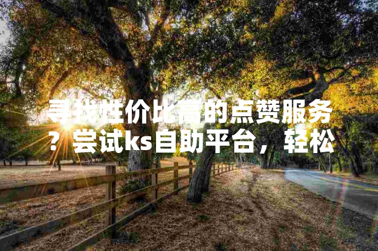 寻找性价比高的点赞服务？尝试ks自助平台，轻松获得所需的点赞支持。