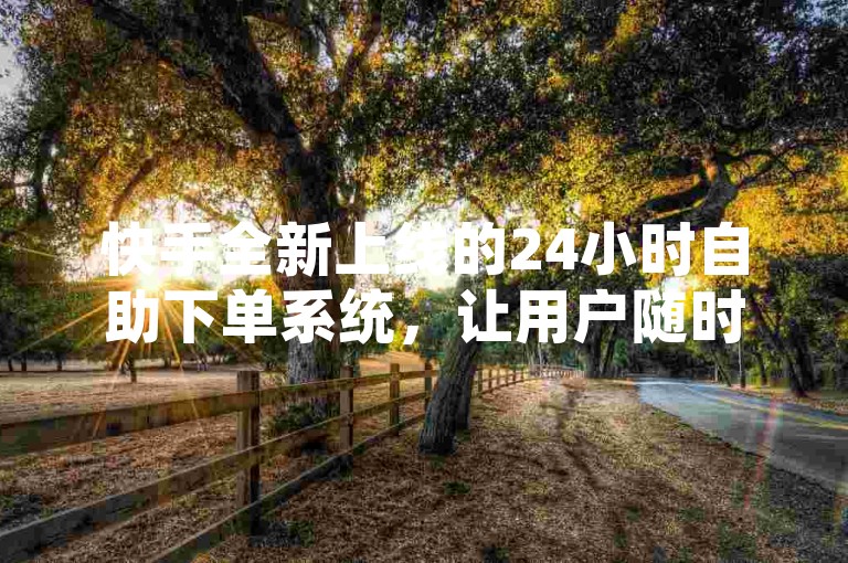 快手全新上线的24小时自助下单系统，让用户随时随地轻松完成订单。