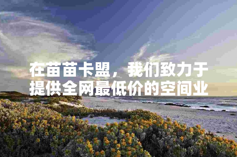 在苗苗卡盟，我们致力于提供全网最低价的空间业务在线下单服务，并作为专业的QQ接单任务平台，同时分享如何通过优质内容让抖音官方为您的作品推流。