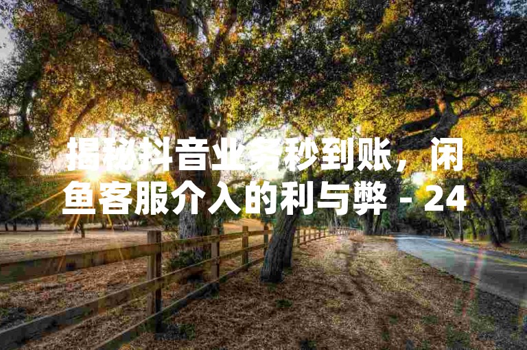 揭秘抖音业务秒到账，闲鱼客服介入的利与弊 - 24小时自助下单平台免费体验 - dy业务软件安装攻略大公开！