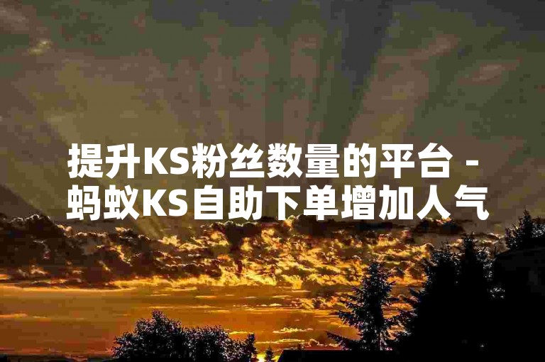 提升KS粉丝数量的平台 - 蚂蚁KS自助下单增加人气