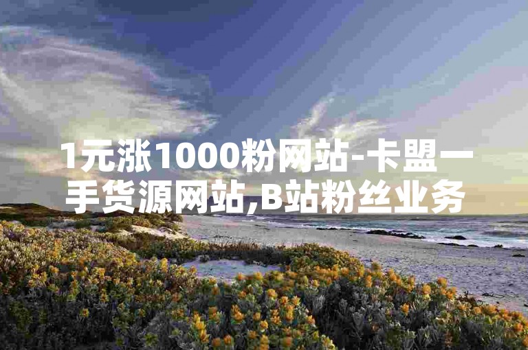 1元涨1000粉网站-卡盟一手货源网站,B站粉丝业务平台，提供快速增加粉丝的服务。