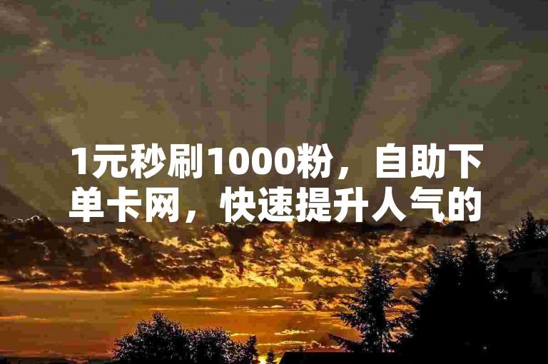 1元秒刷1000粉，自助下单卡网，快速提升人气的秘诀就在这里！