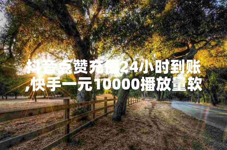 抖音点赞充值24小时到账,快手一元10000播放量软件 - 抖音点赞充值链接 - ks视频点赞评论