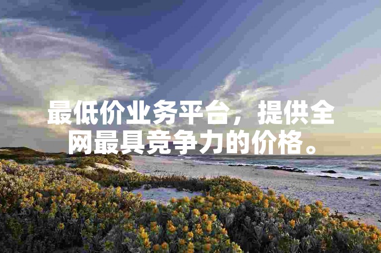 最低价业务平台，提供全网最具竞争力的价格。