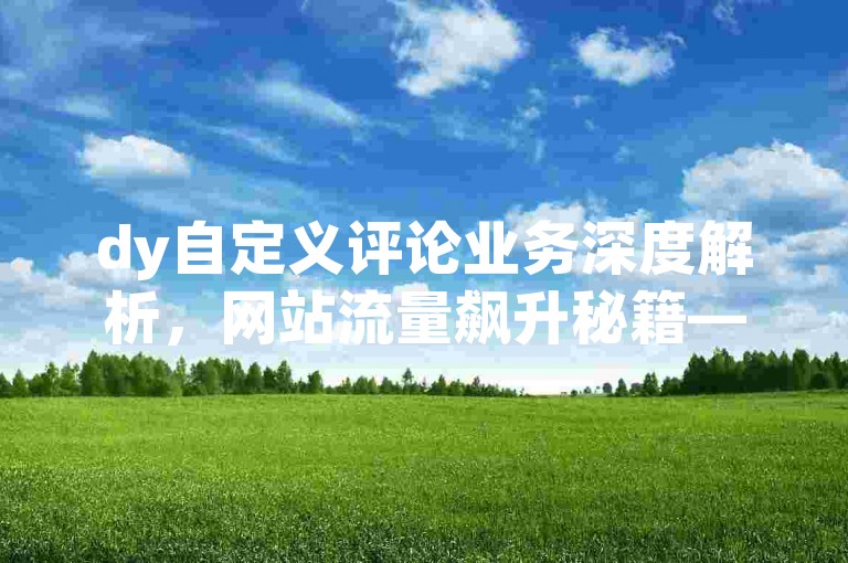 dy自定义评论业务深度解析，网站流量飙升秘籍——个性化评论服务！2025必备技能