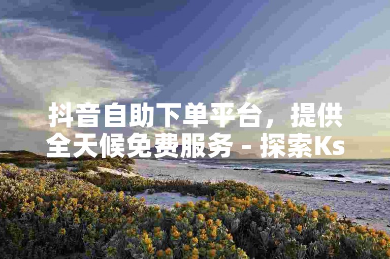 抖音自助下单平台，提供全天候免费服务 - 探索Ks秒单双击的奥秘 - 发现全网最低价的抖音业务优惠，独家策略大公开！