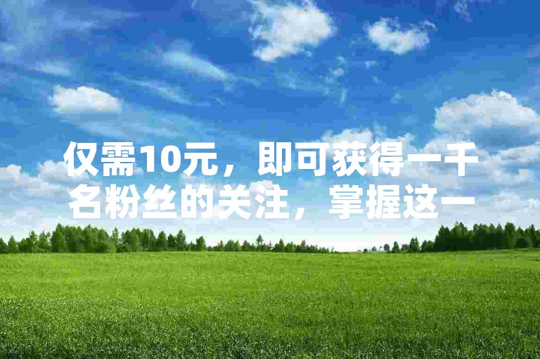仅需10元，即可获得一千名粉丝的关注，掌握这一SEO优化策略将助你事半功倍。