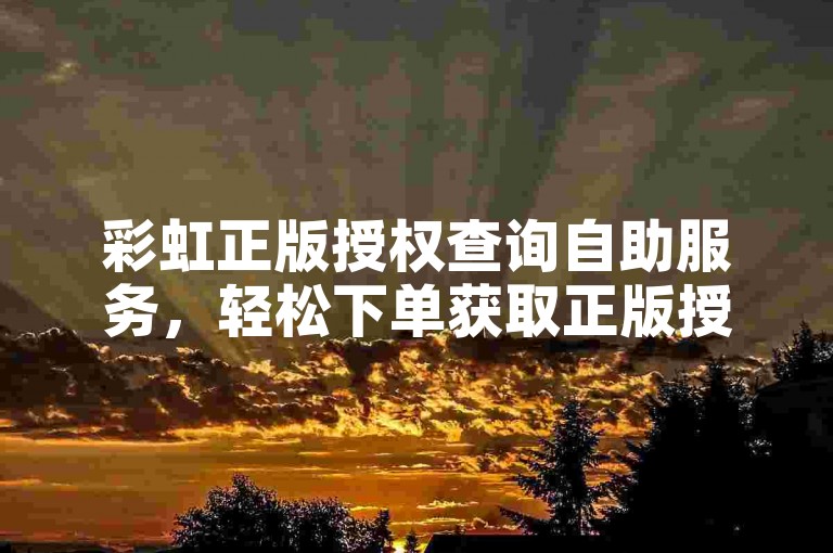 彩虹正版授权查询自助服务，轻松下单获取正版授权。