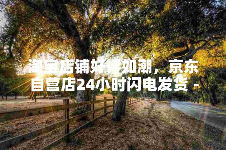 淘宝店铺好评如潮，京东自营店24小时闪电发货 - 抖音热门挑战赢取免费流量包 - 微信朋友圈集赞送精美礼品。