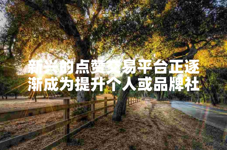 新兴的点赞交易平台正逐渐成为提升个人或品牌社交影响力的有力工具。