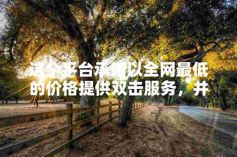 这个平台承诺以全网最低的价格提供双击服务，并声称是KS赞自助下单的官方网站，但实际上可能存在使用假人操作的情况。