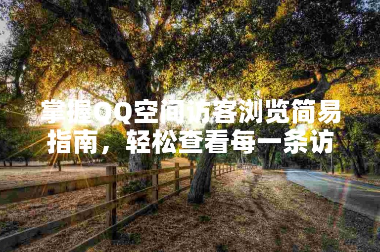 掌握QQ空间访客浏览简易指南，轻松查看每一条访客记录。