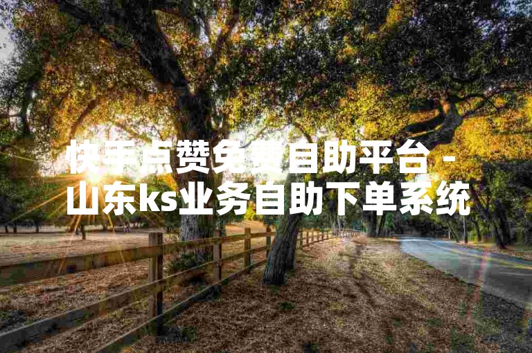快手点赞免费自助平台 - 山东ks业务自助下单系统。