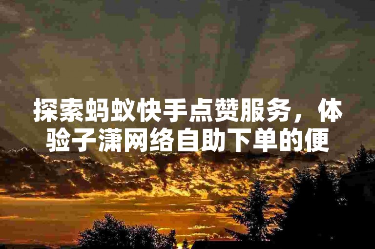 探索蚂蚁快手点赞服务，体验子潇网络自助下单的便捷。
