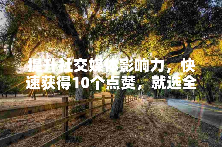 提升社交媒体影响力，快速获得10个点赞，就选全网下单业务。