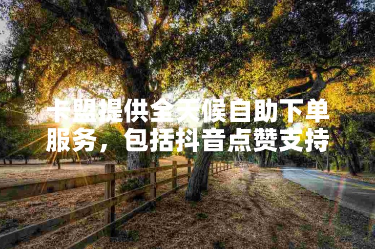 卡盟提供全天候自助下单服务，包括抖音点赞支持。