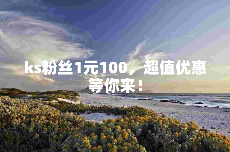 ks粉丝1元100，超值优惠等你来！