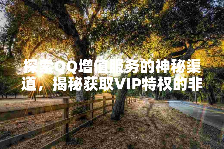 探索QQ增值服务的神秘渠道，揭秘获取VIP特权的非官方途径！
