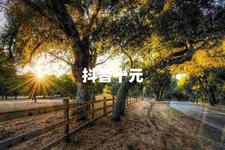 抖音十元500播放，微信视频号秒上推荐 - 抖音快速增流量的秘籍 - 在线刷量平台助力人气飙升。
