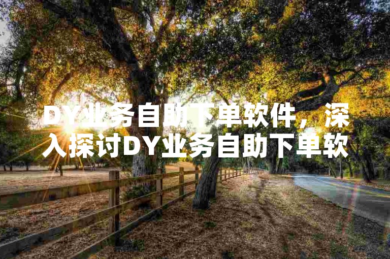DY业务自助下单软件，深入探讨DY业务自助下单软件的功能与操作方法。