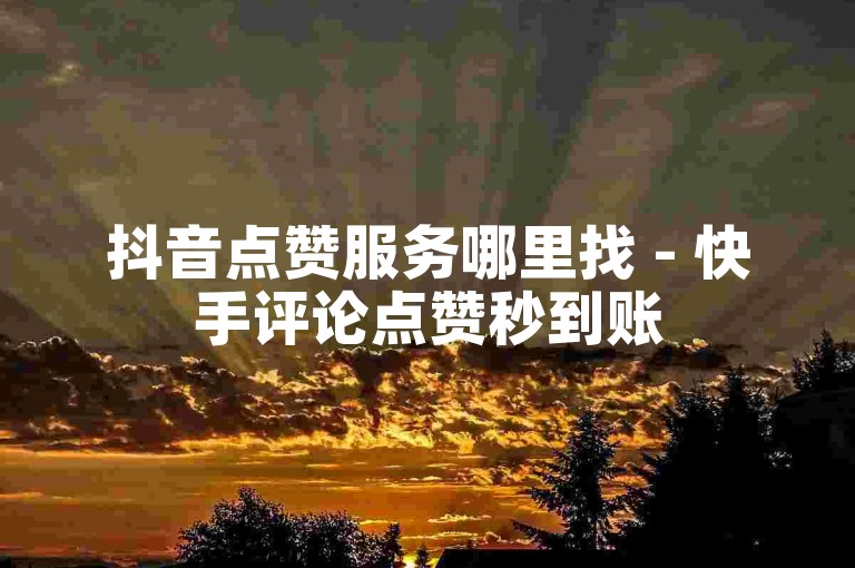 抖音点赞服务哪里找 - 快手评论点赞秒到账