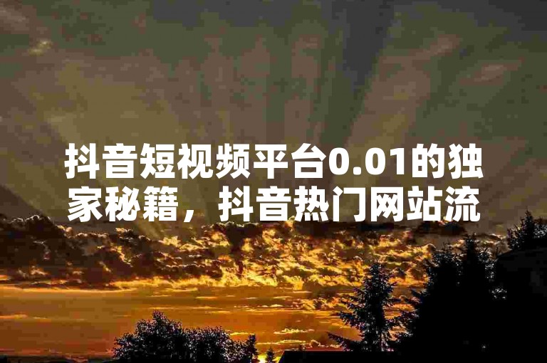 抖音短视频平台0.01的独家秘籍，抖音热门网站流量增长策略揭秘！2025必备