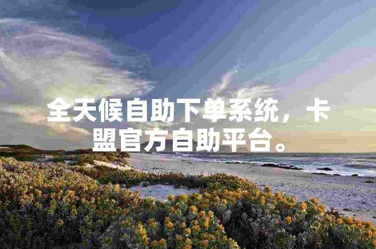 全天候自助下单系统，卡盟官方自助平台。