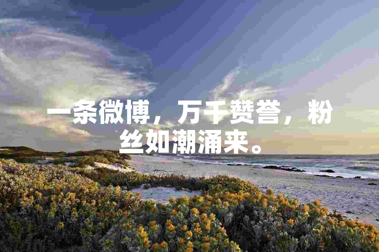 一条微博，万千赞誉，粉丝如潮涌来。