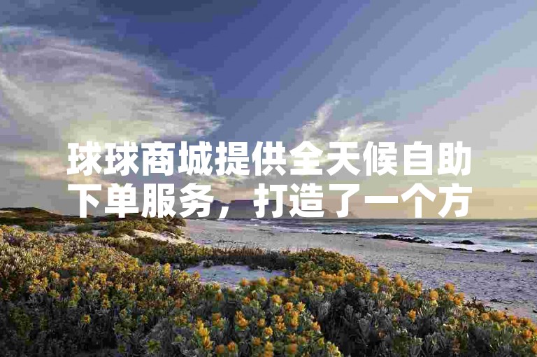 球球商城提供全天候自助下单服务，打造了一个方便快捷的在线购物环境。