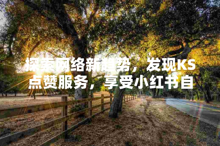 探索网络新趋势，发现KS点赞服务，享受小红书自助涨粉的便捷与高效。