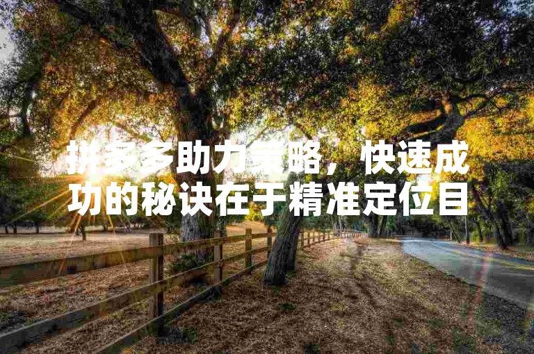 拼多多助力策略，快速成功的秘诀在于精准定位目标用户群并实施有效的营销活动。