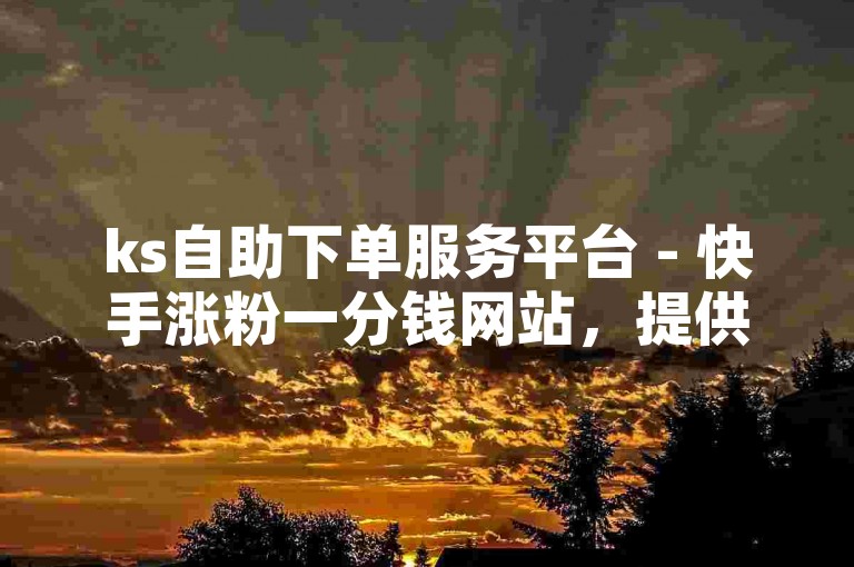 ks自助下单服务平台 - 快手涨粉一分钱网站，提供快速、便捷的涨粉服务。