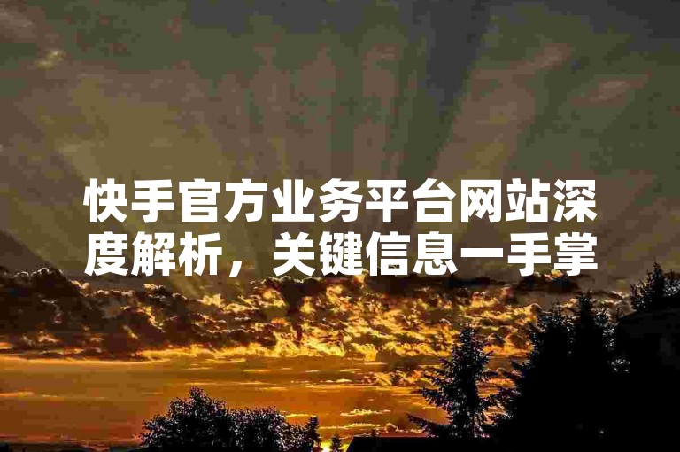 快手官方业务平台网站深度解析，关键信息一手掌握，2025年必备知识！