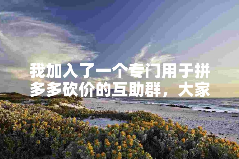 我加入了一个专门用于拼多多砍价的互助群，大家在里面互相帮助完成砍价任务。