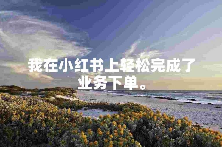 我在小红书上轻松完成了业务下单。