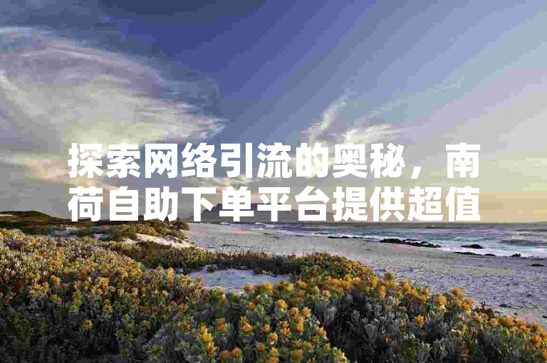 探索网络引流的奥秘，南荷自助下单平台提供超值1元1000粉服务，同时揭秘多款免费黑科技软件助你流量翻倍。
